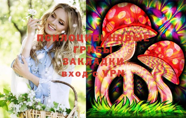Альфа ПВП Балабаново