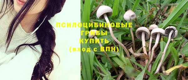 ПСИЛОЦИБИНОВЫЕ ГРИБЫ Балахна