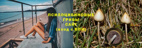 ПСИЛОЦИБИНОВЫЕ ГРИБЫ Балахна