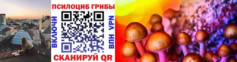 Галлюциногенные грибы Psilocybe Мытищи